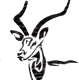 Benutzeravatar