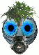 Benutzeravatar