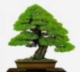 Benutzeravatar