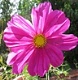 Benutzeravatar