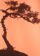 Benutzeravatar
