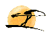 Benutzeravatar