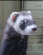 Benutzeravatar