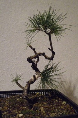 DSCN0488.JPG