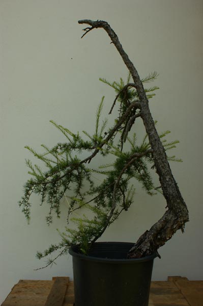 DSC01156_klein.jpg