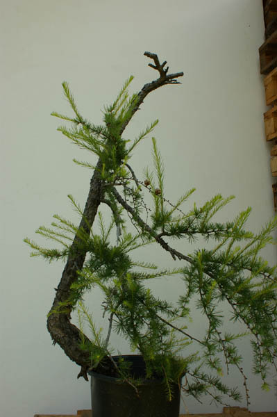 DSC01160_klein.jpg