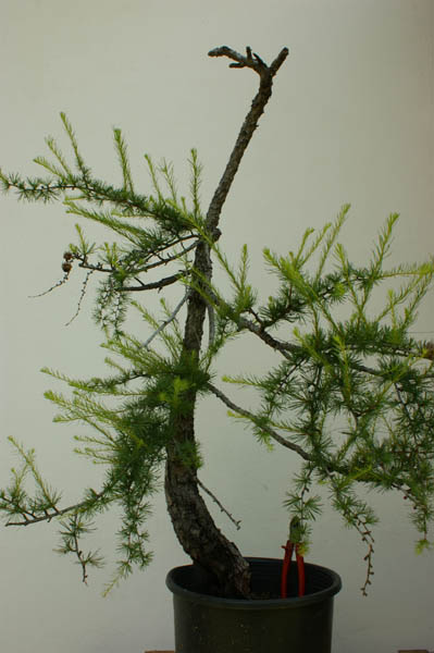 DSC01162_klein.jpg