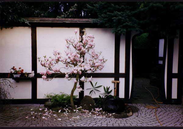 k-garten15.JPG