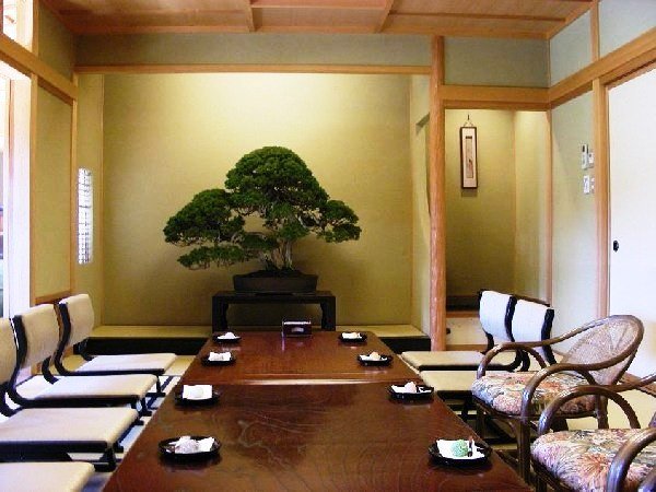 DSCN5740.JPG