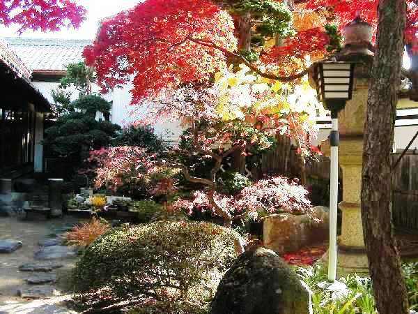 DSCN5789.JPG
