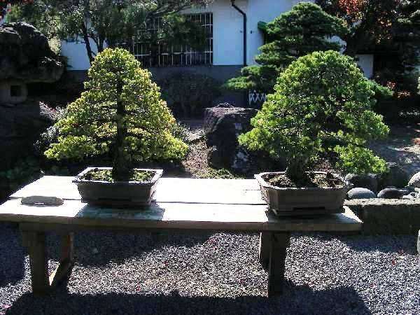 DSCN5797.JPG