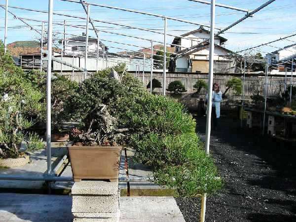 DSCN5829.JPG