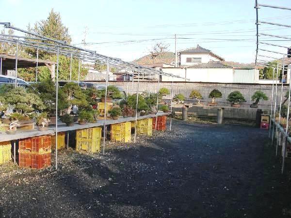 DSCN5852.JPG