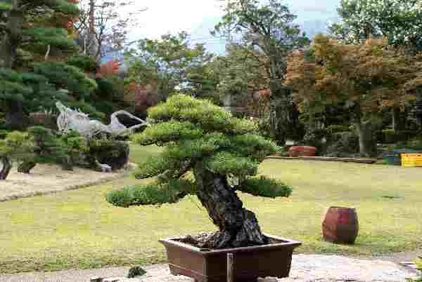 Tag 7  Iwasaki - Takasago-an 10.JPG