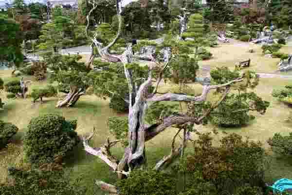 Tag 7  Iwasaki - Takasago-an 14.JPG