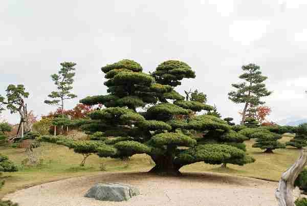 Tag 7  Iwasaki - Takasago-an 15.JPG