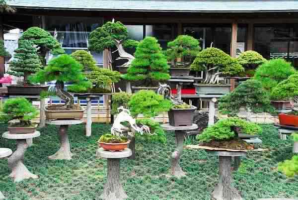 Tag 7  Iwasaki - Takasago-an.JPG