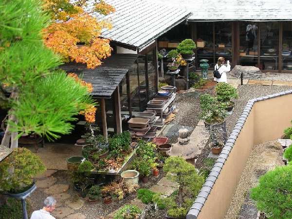 Tag 8 Kobayashi Kunio -Shunka-en 1.JPG