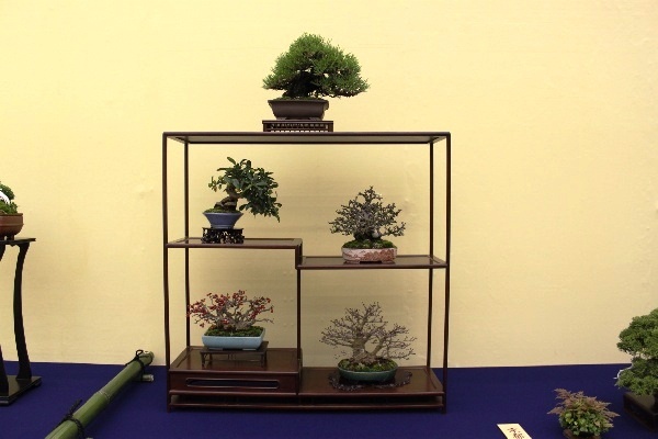 Tag 7a Taikan-ten 6.JPG