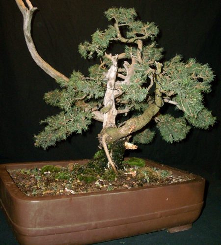 12 2010 7.JPG