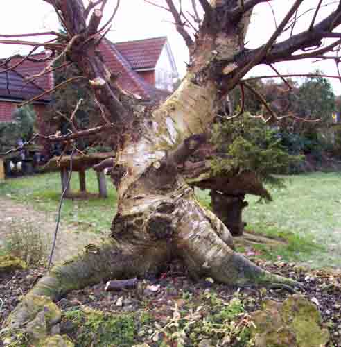 Felsenschalen 018.JPG