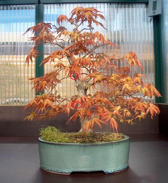 2005 April.jpg