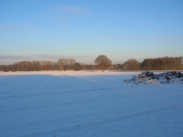 bild1.jpg