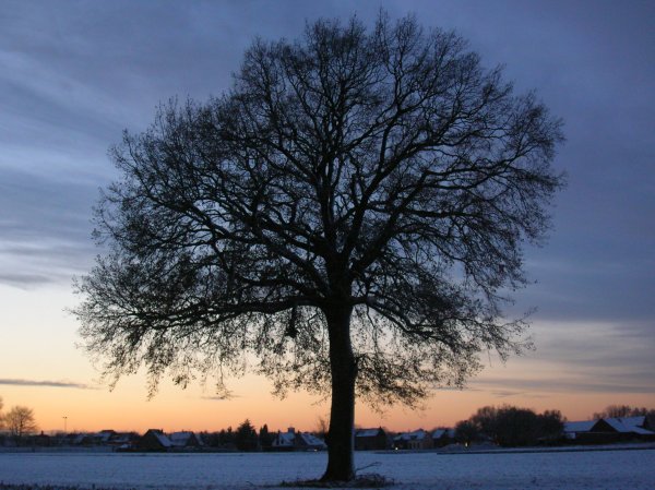 bild2.jpg