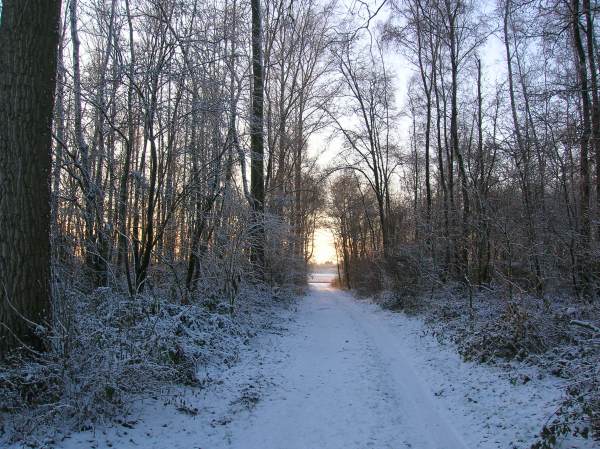 bild3.jpg