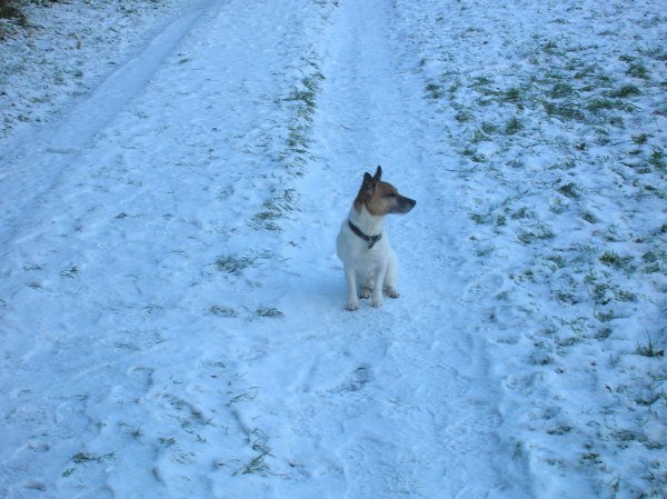 bild4.jpg