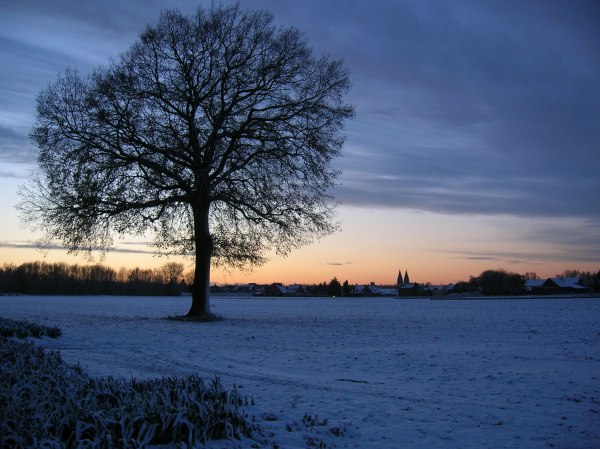 bild6.jpg