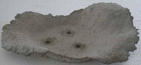 171.JPG