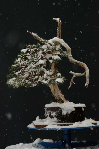 DSC_8654.JPG
