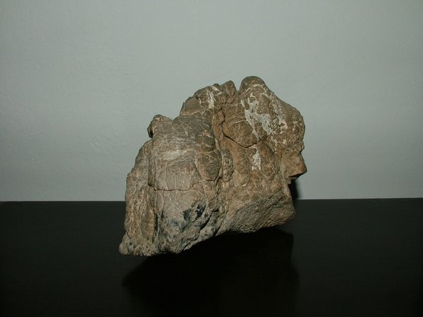 comp_2010_1225Bild0001.jpg