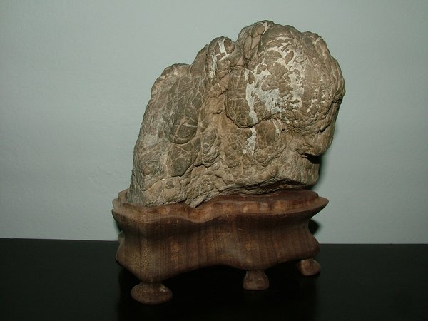comp_2010_1225Bild0003.jpg