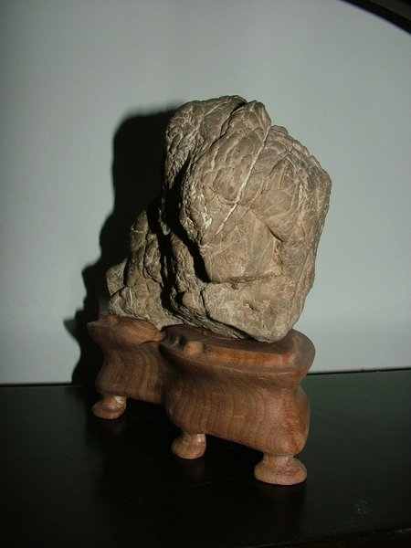 comp_2010_1225Bild0005.jpg