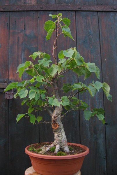 September 2009 3 043.jpg