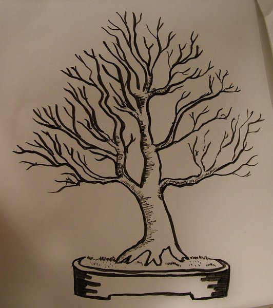 comp_2010_1228Bild0004.jpg