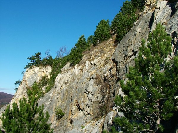 comp_2006_1115(002).jpg