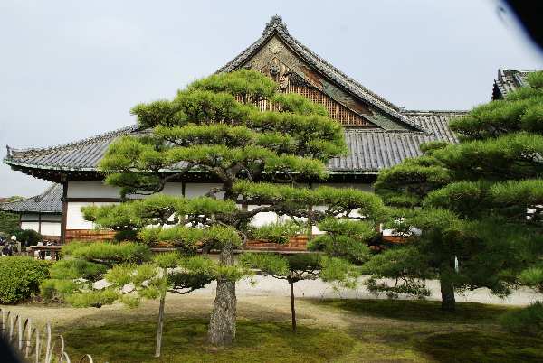 Teil 17 Nijo-Castle Kyoto  - 009.JPG