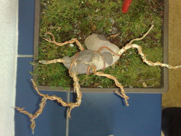 von oben