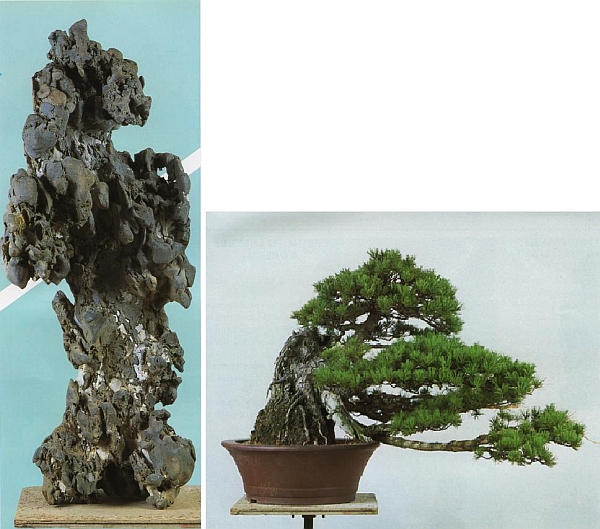 Felsen_3.jpg