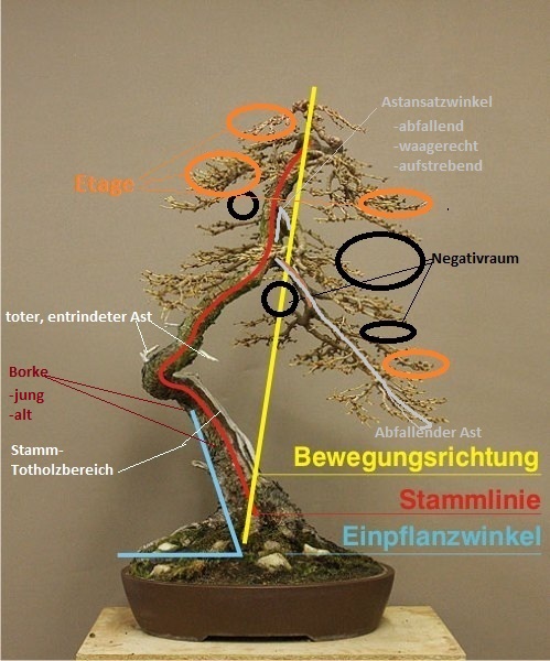 Leitfaden-1.jpg