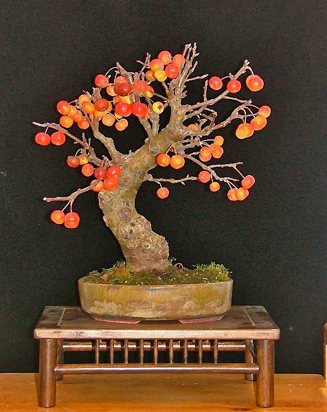 malus_heike_04.jpg