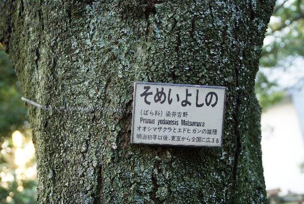 Teil 19 Nagoya    - 010.JPG