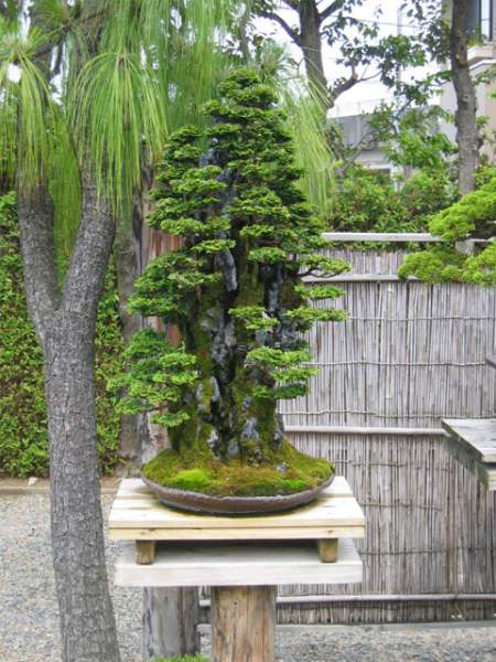 Maître_Masahiko_KIMURA_009.jpg
