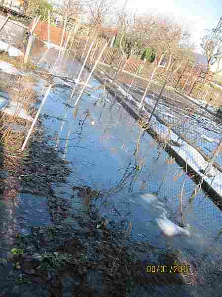Land unter Seitenbeete