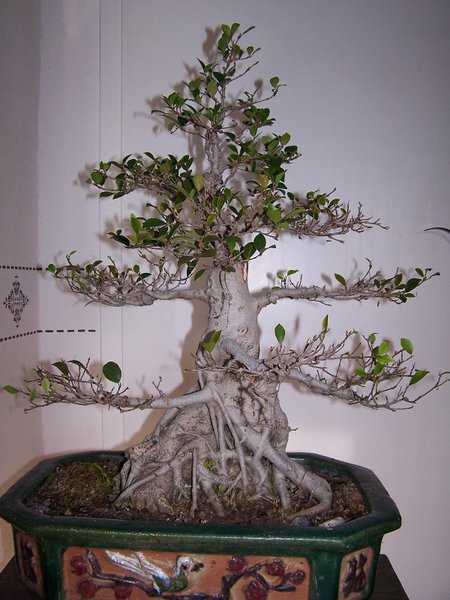 100_7822_web.jpg