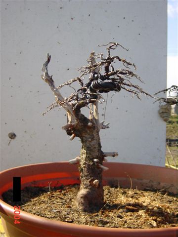 DSC00030.JPG
