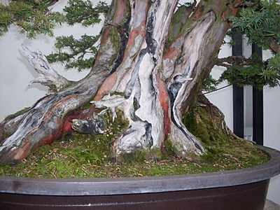 SDC11524.JPG